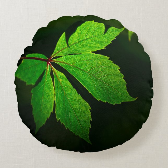 Leaf vein pattern texture plant round cushion (Front)