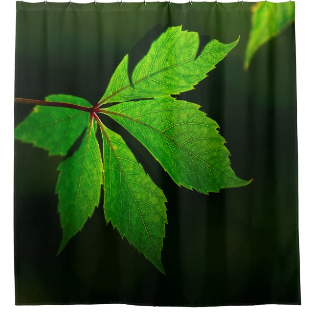 Leaf vein pattern texture plant shower curtain (Front)