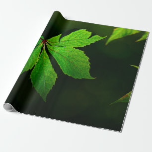 Leaf vein pattern texture plant wrapping paper