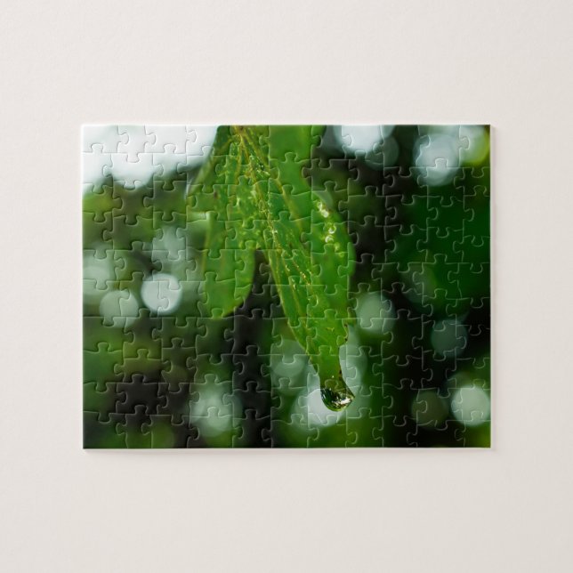 Leaf with drop of water jigsaw puzzle (Horizontal)