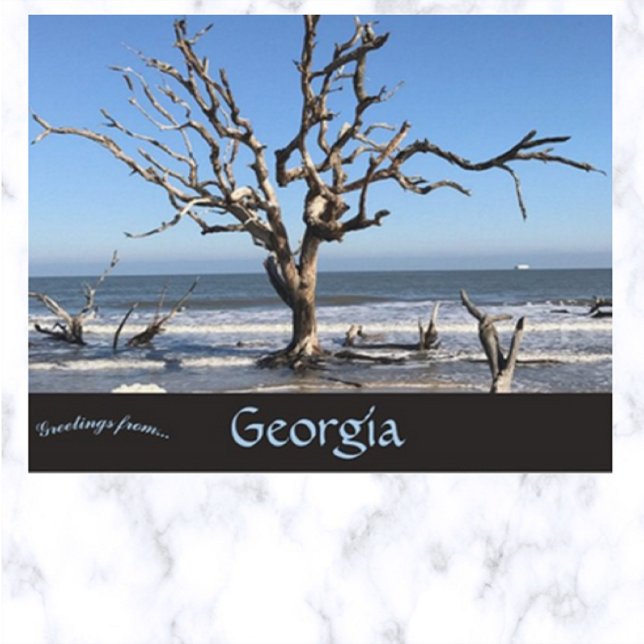 Leafless Tree in Jeckyll Island Georgia USA Postcard (Creator Uploaded)