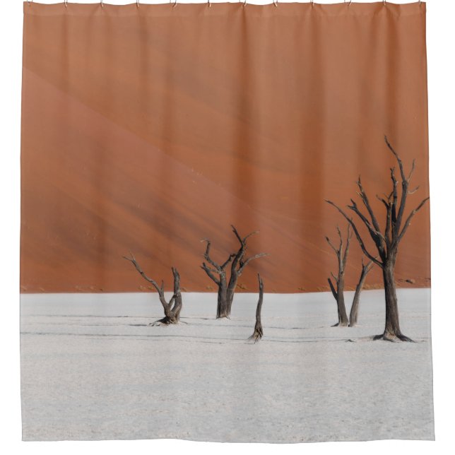 LEAFLESS TREE ON WHITE SNOW COVERED GROUND DURING  SHOWER CURTAIN (Front)
