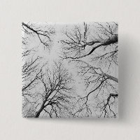 Leafless Trees in Thiepval Wood