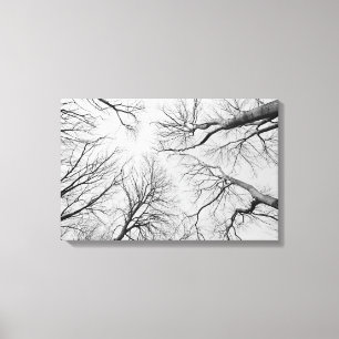 Leafless Trees in Thiepval Wood Canvas Print