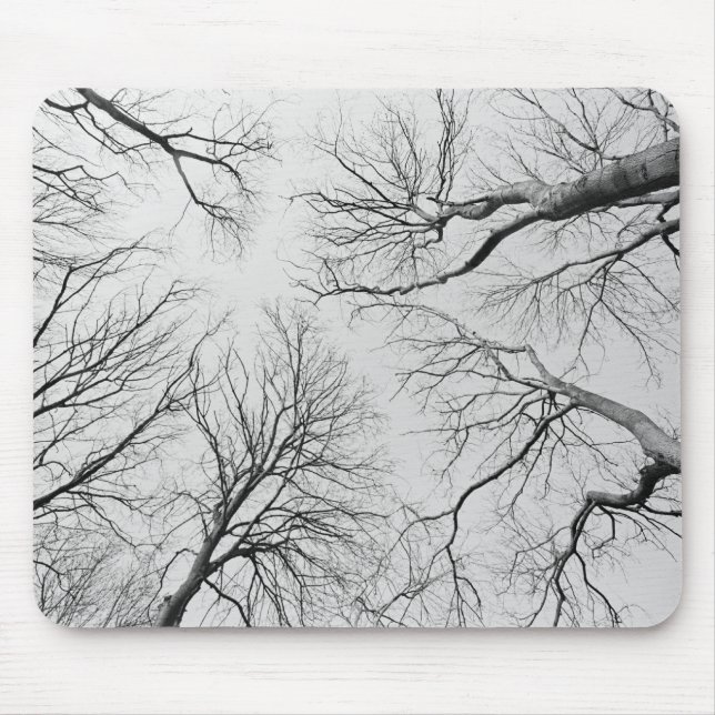 Leafless Trees in Thiepval Wood Mouse Pad (Front)