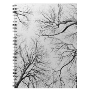 Leafless Trees in Thiepval Wood Spiral Notebook