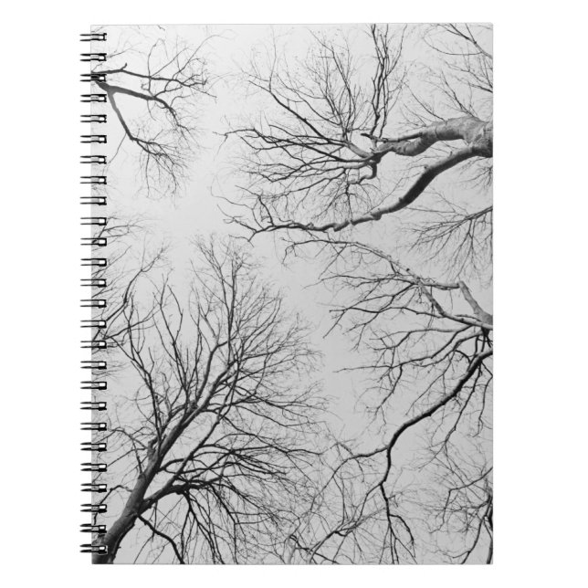 Leafless Trees in Thiepval Wood Spiral Notebook (Front)