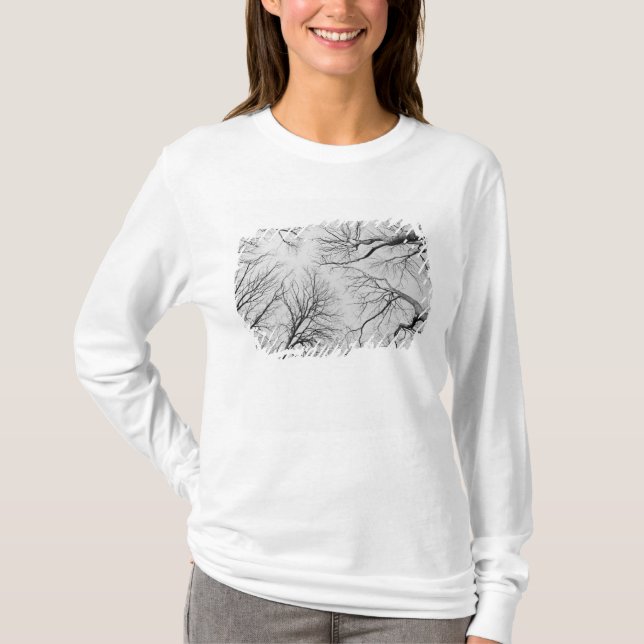 Leafless Trees in Thiepval Wood T-Shirt (Front)