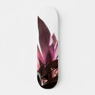 leafs skateboard