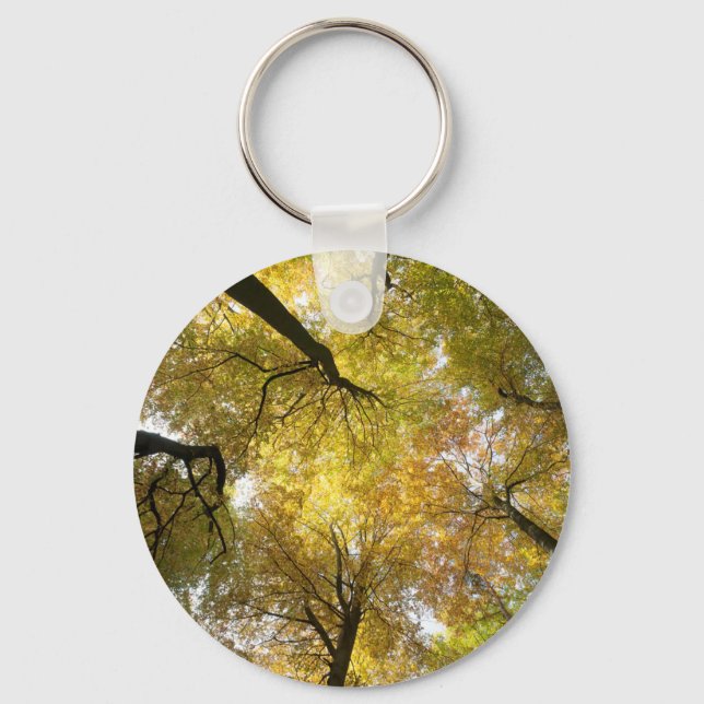 Leafy Canopy Key Ring (Front)
