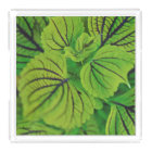 Leafy Green Vanity Tray