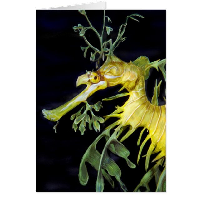 Leafy Sea Dragon (Front)
