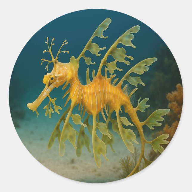 Leafy Sea Dragon Classic Round Sticker (Front)