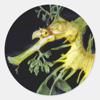 Leafy Sea Dragon Classic Round Sticker