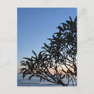 leafy silhouette postcard