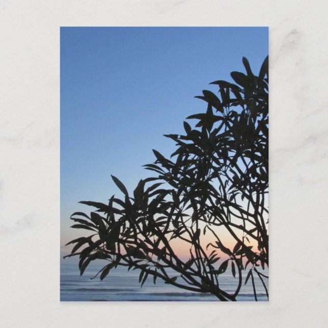 leafy silhouette postcard (Front)