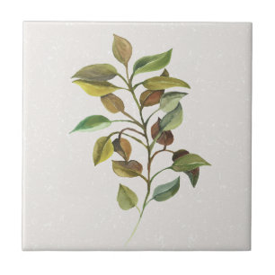 Leafy Spray Cream Accent Tile