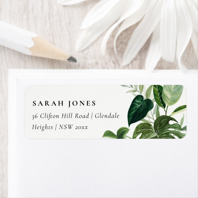 Leafy Tropical Palm Foliage Leafy Address (Insitu)
