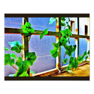 Leafy Window Photo Print
