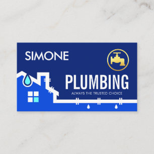 Leaking Home Pipe Frame Business Card