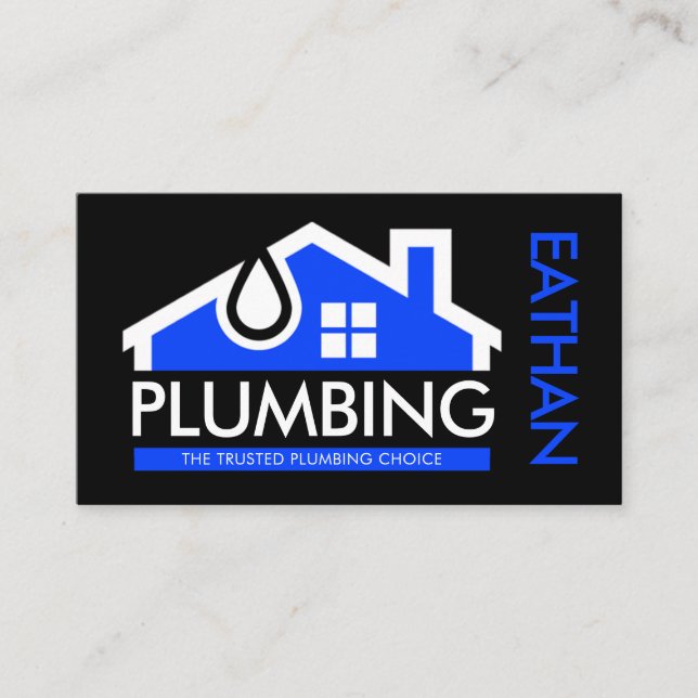Leaking House Plumbing Waters Business Card (Front)