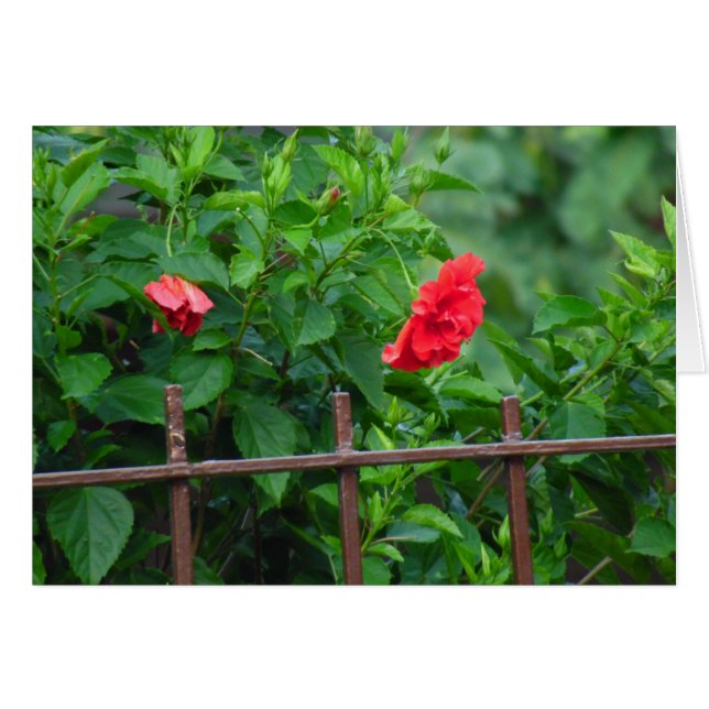 Leaning Garden Flower (Front Horizontal)