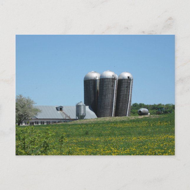 Leaning Silos Postcard (Front)