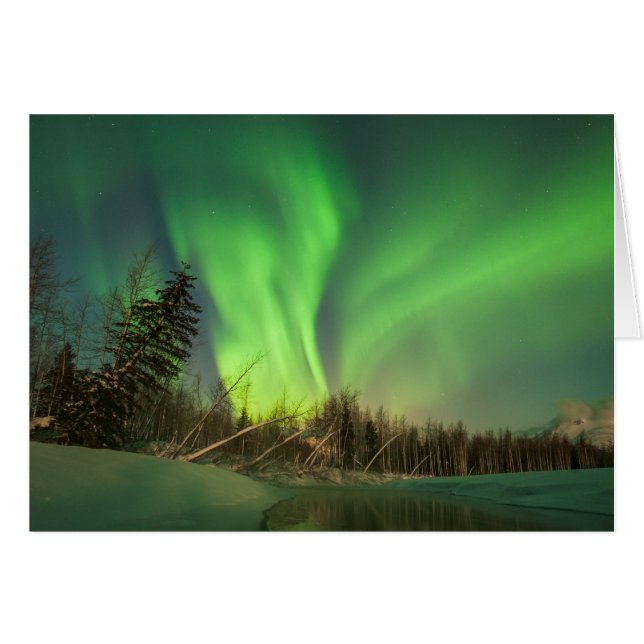 Leaning Spruce Aurora (Front Horizontal)