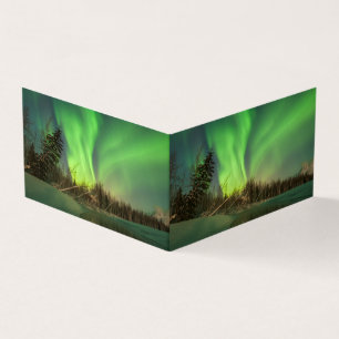 Leaning Spruce Aurora