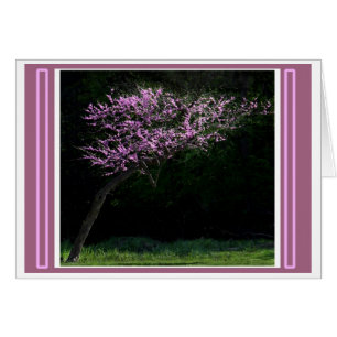 Leaning To Spring