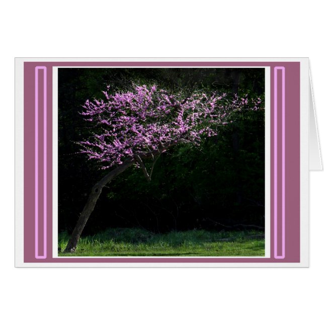 Leaning To Spring (Front Horizontal)