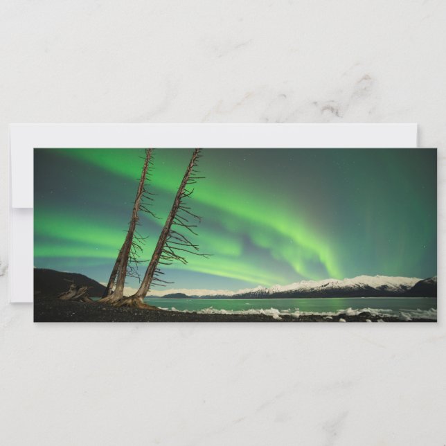 Leaning Tree Aurora (Front)