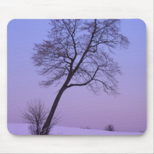Leaning Tree in Snowy Field; Chippewa County; Mouse Pad