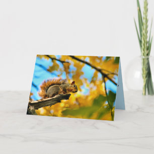 Leap Card