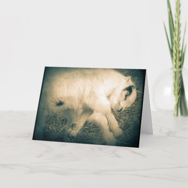 Leap For Joy Card (Front)