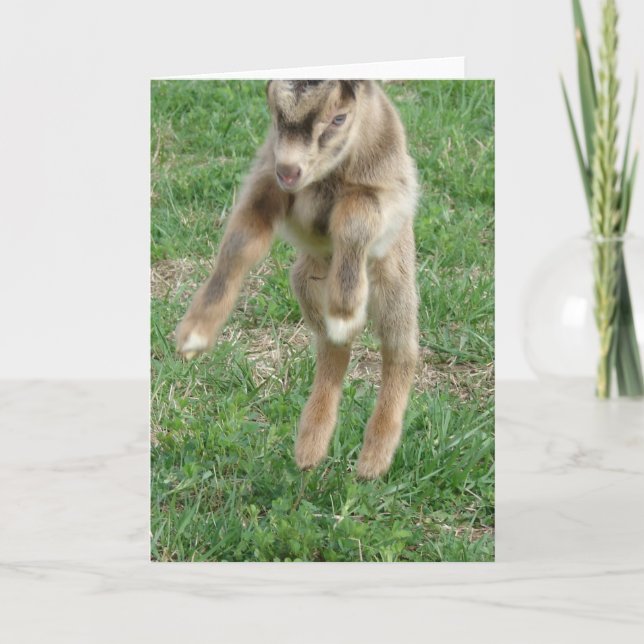 Leap For Joy Card (Front)