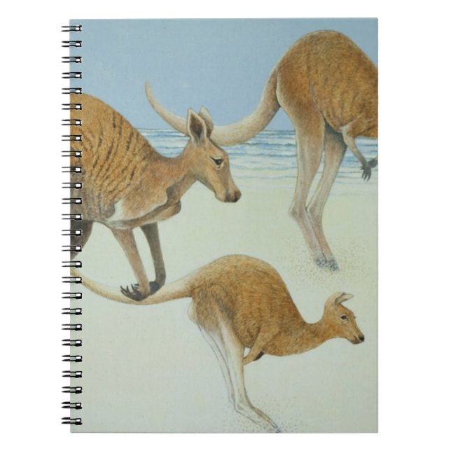 Leaping ahead spiral notebook (Front)