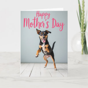 Leaping Dog Mothers Day Card