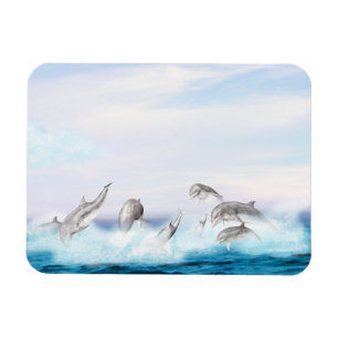 Leaping Dolphins Magnet