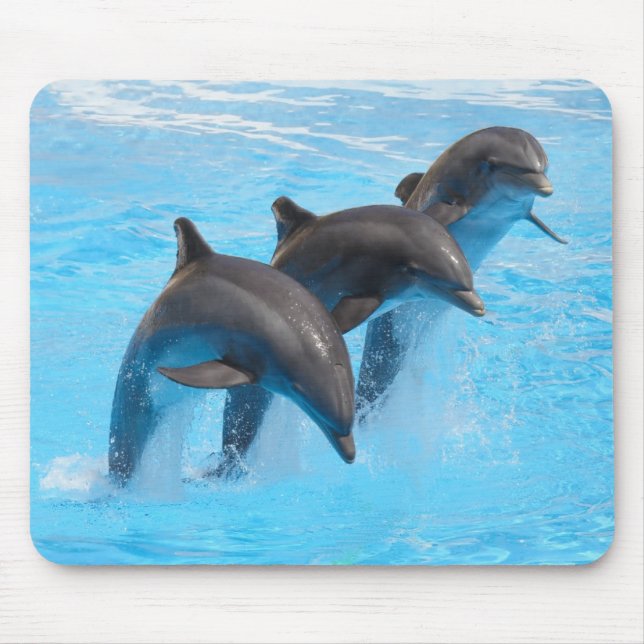 Leaping Dolphins Mouse Mat (Front)