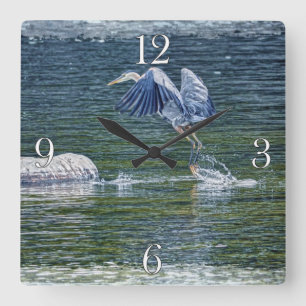 Leaping Great Blue Heron Wildlife Bird Photo 5 Square Wall Clock