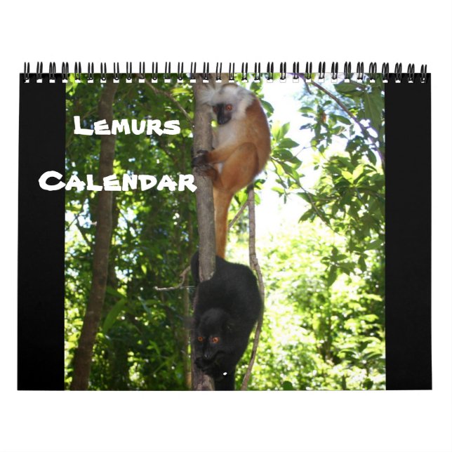 LEAPING LEMURS CALENDAR (Cover)