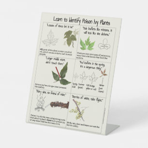 Learn to Identify Poison Ivy Plants Pedestal Sign