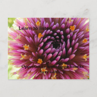 Learn to listen, Opportunity sometime... Postcard