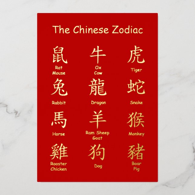 Learn to Read Chinese Zodiac Animals New Year (Front)