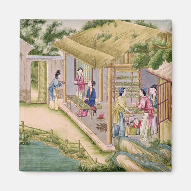 Learning about Silkworms Magnet (Front)