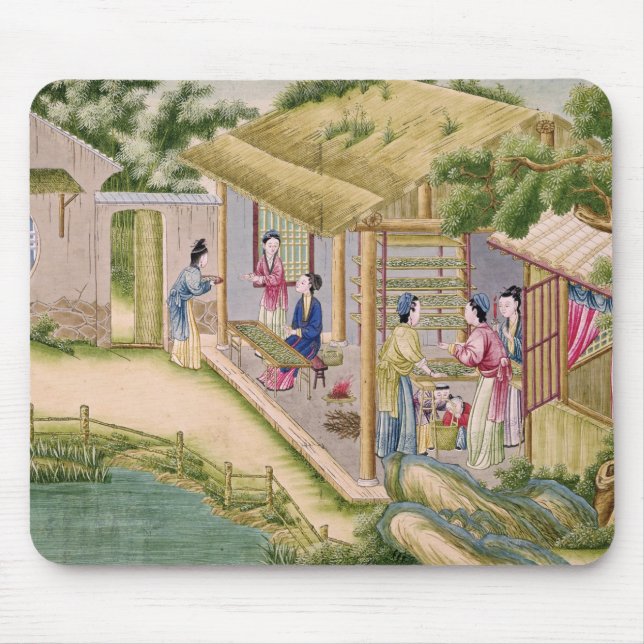 Learning about Silkworms Mouse Pad (Front)