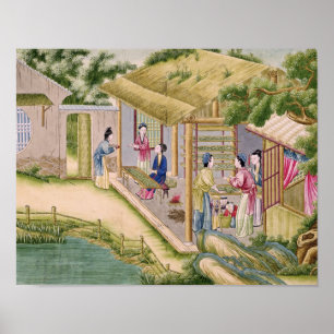 Learning about Silkworms Poster