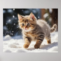 *~* Learning about Snow Kitty 5:4  Kitten Cat AP68