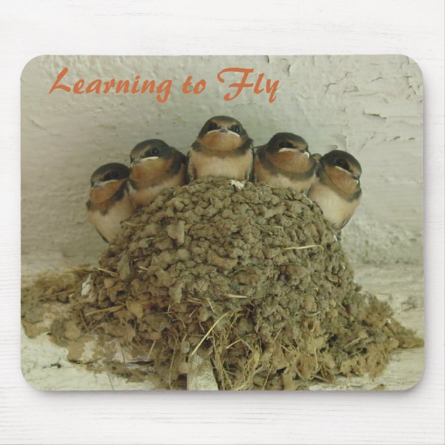 Learning to Fly Mouse Pad (Front)